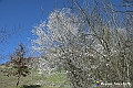 VBS_8848- Risvegli